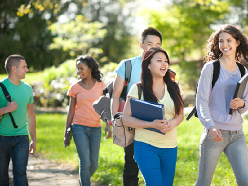 一键安装即可用的网站攻击器